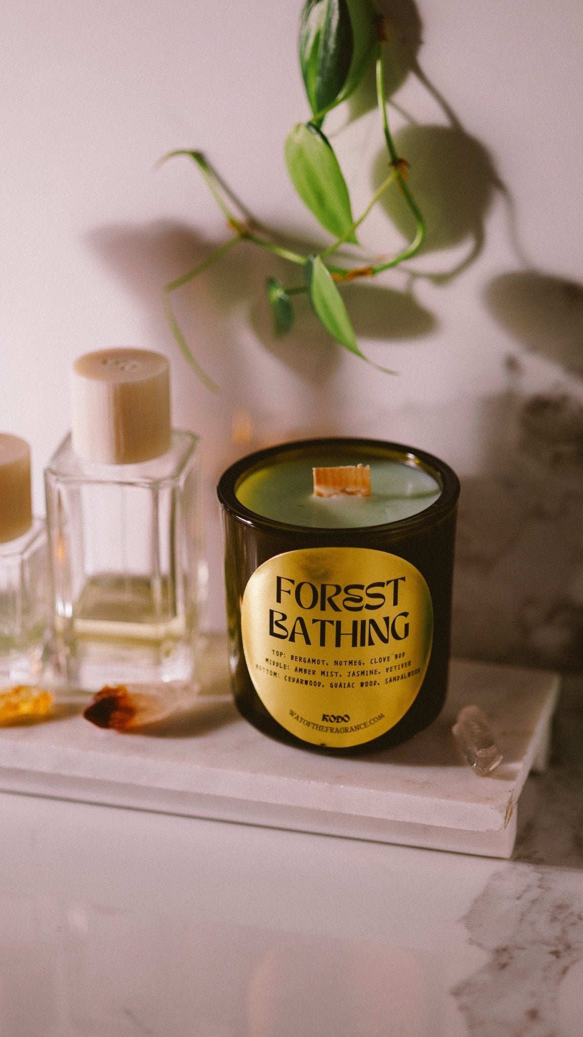 Forest Bathing scented candle